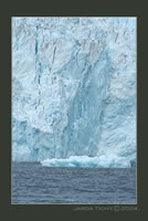 Holgate Glacier foto
